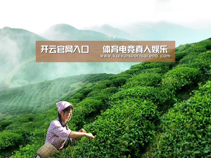 开云官网入口 - 体育电竞真人娱乐
