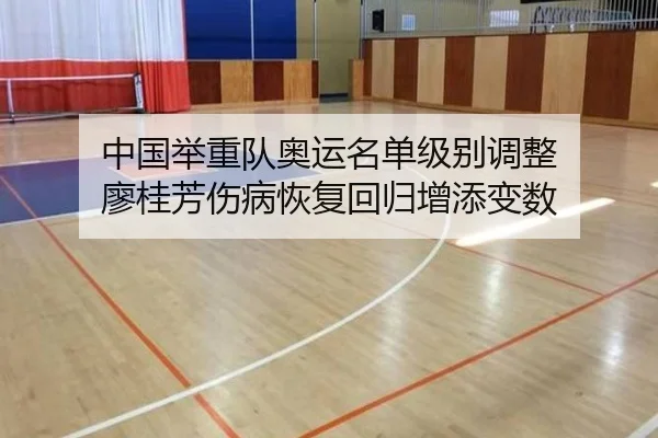 中国举重队奥运名单级别调整 廖桂芳伤病恢复回归增添变数