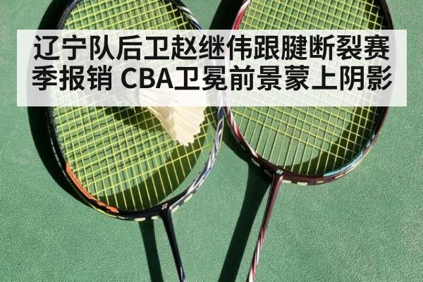 辽宁队后卫赵继伟跟腱断裂赛季报销 CBA卫冕前景蒙上阴影
