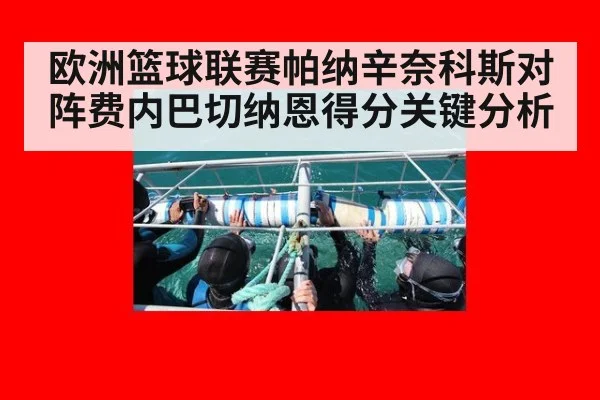 欧洲篮球联赛帕纳辛奈科斯对阵费内巴切纳恩得分关键分析