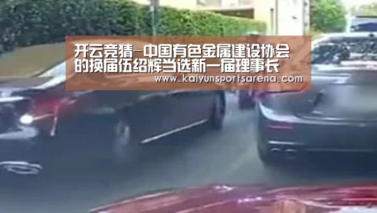 开云竞猜-中国有色金属建设协会的换届伍绍辉当选新一届理事长(图2) 开云竞猜