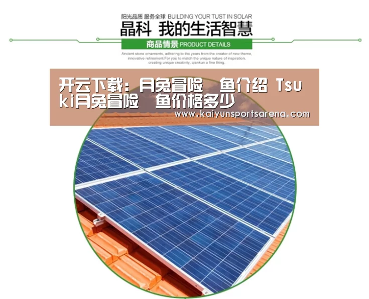 开云下载:月兔冒险鯷鱼介绍 Tsuki月兔冒险鯷鱼价格多少(图1) 开云下载