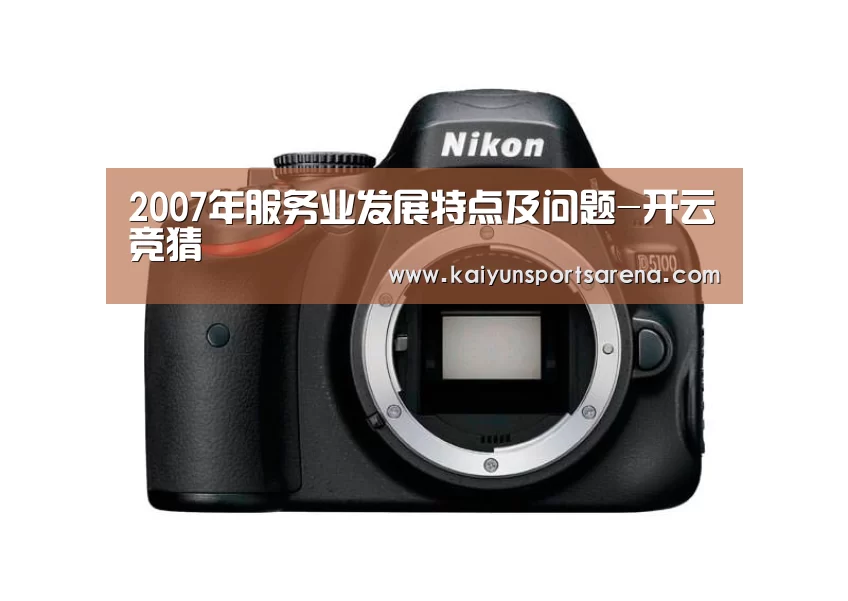 2007年服务业发展特点及问题-开云竞猜
