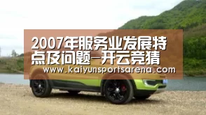 2007年服务业发展特点及问题-开云竞猜(图2) 开云百家乐