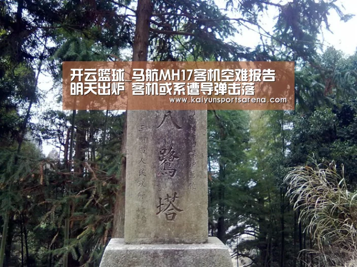 开云下载