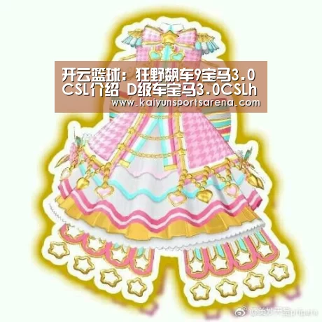 开云篮球:狂野飙车9宝马3.0CSL介绍 D级车宝马3.0CSLhommage属性详解(图2) 开云下载