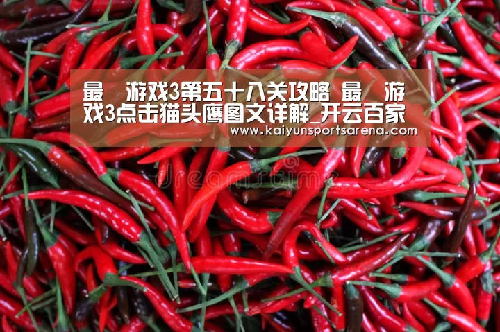 开云篮球