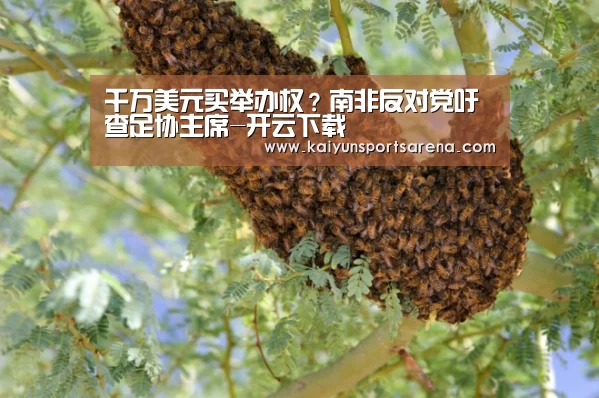 千万美元买举办权?南非反对党吁查足协主席-开云下载(图2) 开云篮球