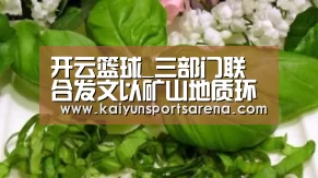 开云百家乐