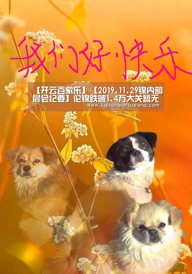 【开云百家乐】【2019.11.29镍内部晨会纪要】伦镍跌破1.4万大关暂无其他支撑位 不锈钢价格持续破位下滑(图3) 开云下载